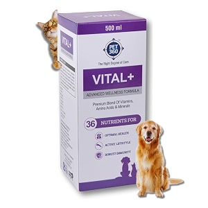 pet360 vital advanced wellness formula  daily multivitamin syrup  healthy skin joints immunity amp growth  nutritional supplement for dogs amp cats- 500 ml