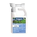 PetArmor Home Yard Spray for Dogs, Kills and Protects Against Fleas, Ticks, Mosquitoes, Ants, and Other Bugs, 32oz, 1 Count (Pack of 6)