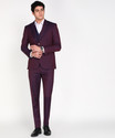 PETER ENGLAND Men 3 PC Suit Self Design Suit