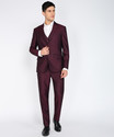 PETER ENGLAND 3 PC Suit Textured Men Suit