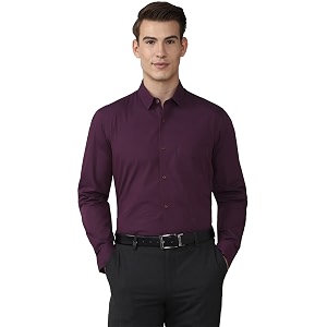 Peter England Mens Cotton Regular Fit Shirt