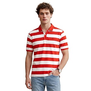 Peter England Mens Cotton Regular Fit Polo