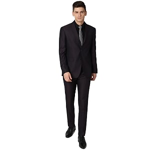 Peter England Mens Polyester Blend Suit-Dress Set