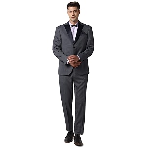 Peter England Mens Rayon Two Piece Suit-Dress