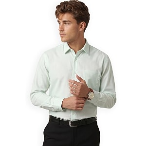 Peter England Mens Slim Fit Full Sleeve
