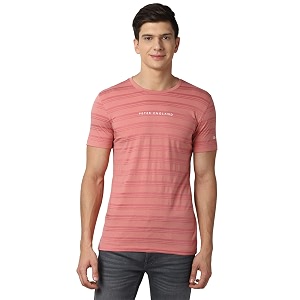 Peter England Mens Striped Slim Fit T-Shirt