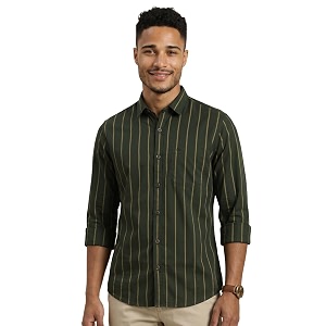 Peter England Men Cotton Striped Slim Fit