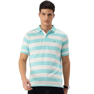 Peter England Mens Cotton Regular Fit Polo