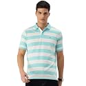 Peter England Men39s Cotton Regular Fit Polo