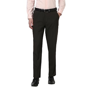 Peter England Men Regular Fit Pants