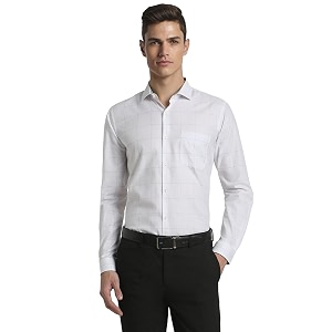 Peter England Mens Cotton Regular Fit Shirt