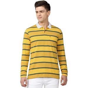 Peter England Men Stripe Polo Neck Polo