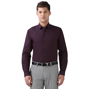 Peter England Mens Polycotton Slim Fit Shirt