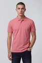 PETER ENGLAND Solid Men Polo Neck Pink