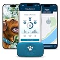 Petivity Smart GPS and Activity Dog Tracker Tag