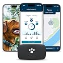 Petivity Smart GPS and Activity Dog Tracker Tag