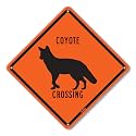 PetKa Signs and Graphics PKAC-0133-NA_10x10 "Coyote Crossing" Aluminum Sign, 10" x 10", Black on Orange