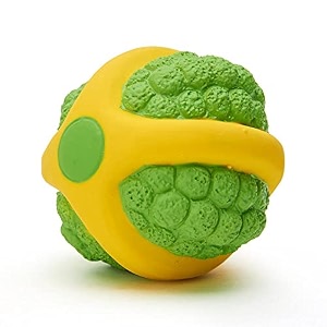 petlicious amp more eetoys petlicious and more dog latex squeaky melon toy medium