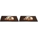 PETMAKER Small/Medium Self Warming Thermal Crate Pad-25x18-Chocolate,Brown (Pack of 2)