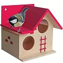 PetNest Bird House for Balcony and Garden Hanging for Love Birds, Sparrow, Hummingbird, Kingfisher Birds Nest for Balcony Made with Russian Wood with Hanging and Wall Pink - DECO6