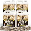 PetraMax Rock Glue for Landscaping, Pet-Safe & Non-Toxic, (1 Gal x 4)