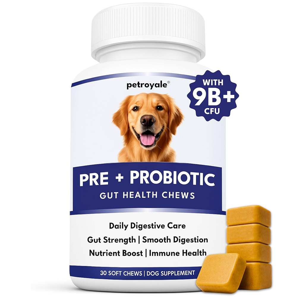 Petroyale Dog Pre+ Probiotic & Prebiotic Chews - Probiotics for Dogs ...