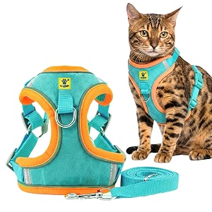 aa pets39 suede harness amp leash set for cats small dogs  escape proof  night safety reflective strips  2 leash points s green