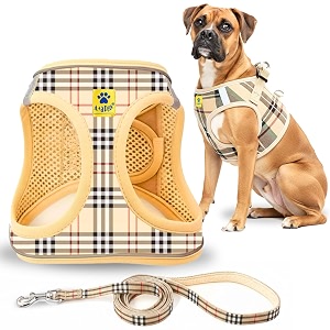 aa pets39 bur-berry checks dog harness amp leash set  adjustable padded step-in no-pull harness belt combo xl
