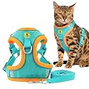 A+a Pets' Suede Harness &amp; Leash Set for Cats, Small Dogs | Escape Proof | Night Safety Reflective Strips | 2 Leash Points (S, Green)