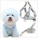 A+a Pets' Harness &amp; Leash Set(Combo) for Cats, Puppies, Small Dogs with 2 Leash Points – Escape Friendly | Night Safety | Reflective Strips |100% Cotton (Blue, M)
