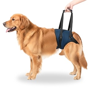 aa pets39 maa39 male dog lift support harness for hindback legs  for disabled aged injured paralysed arthritis navy xl