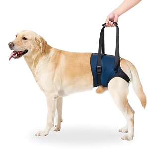 aa pets39 maa39 male dog lift support harness for hindback legs  for disabled aged injured paralysed arthritis navy 2xl