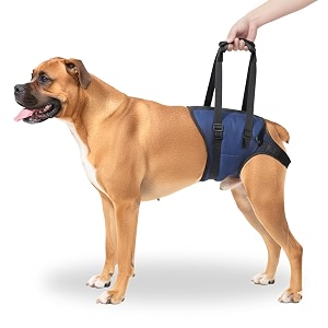 aa pets39 maa39 male dog lift support harness for hindback legs  for disabled aged injured paralysed arthritis navy l