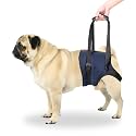 A+a Pets' MAA' Male Dog Lift Support Harness for Hind/Back Legs | for Disabled Aged Injured Paralysed Arthritis (Navy, S)