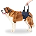 A+a Pets' MAA' Male Dog Lift Support Harness for Hind/Back Legs | for Disabled Aged Injured Paralysed Arthritis (Navy, 3XL)