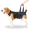 A+a Pets' MAA' Male Dog Lift Support Harness for Hind/Back Legs | for Disabled Aged Injured Paralysed Arthritis (Navy, M)