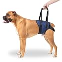 A+a Pets' MAA' Male Dog Lift Support Harness for Hind/Back Legs | for Disabled Aged Injured Paralysed Arthritis (Navy, L)
