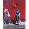 Aa Pets39 Pataka39 Harness and Leash Combo