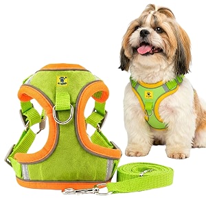aa pets39 suede harness amp leash set for cats small dogs  escape proof  night safety reflective strips  2 leash points l lime green