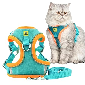 aa pets39 suede harness amp leash set for cats small dogs  escape proof  night safety reflective strips  2 leash points m green