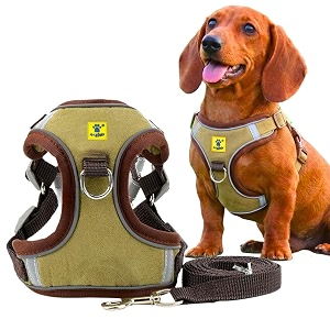 aa pets39 suede harness amp leash set for cats small dogs  escape proof  night safety reflective strips  2 leash points xl military green