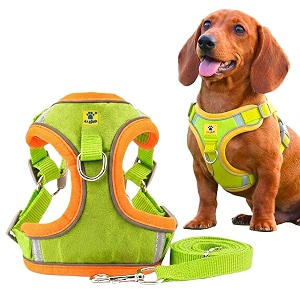 aa pets39 suede harness amp leash set for cats small dogs  escape proof  night safety reflective strips  2 leash points xl lime green