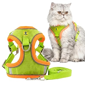 aa pets39 suede harness amp leash set for cats small dogs  escape proof  night safety reflective strips  2 leash points m lime green