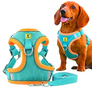 aa pets39 suede harness amp leash set for cats small dogs  escape proof  night safety reflective strips  2 leash points xl green