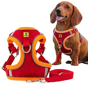 aa pets39 suede harness amp leash set for cats small dogs  escape proof  night safety reflective strips  2 leash points xl red