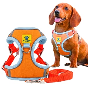 aa pets39 suede harness amp leash set for cats small dogs  escape proof  night safety reflective strips  2 leash points xl orange