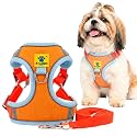 A+a Pets' Suede Harness &amp; Leash Set for Cats, Small Dogs | Escape Proof | Night Safety Reflective Strips | 2 Leash Points (L, Orange)
