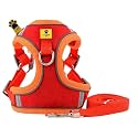 A+a Pets' Suede Harness &amp; Leash Set for Cats, Small Dogs | Escape Proof | Night Safety Reflective Strips | 2 Leash Points (S, Red)