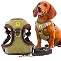 A+a Pets' Suede Harness &amp; Leash Set for Cats, Small Dogs | Escape Proof | Night Safety Reflective Strips | 2 Leash Points (XL, Military Green)