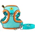A+a Pets' Suede Harness &amp; Leash Set for Cats, Small Dogs | Escape Proof | Night Safety Reflective Strips | 2 Leash Points (L, Green)
